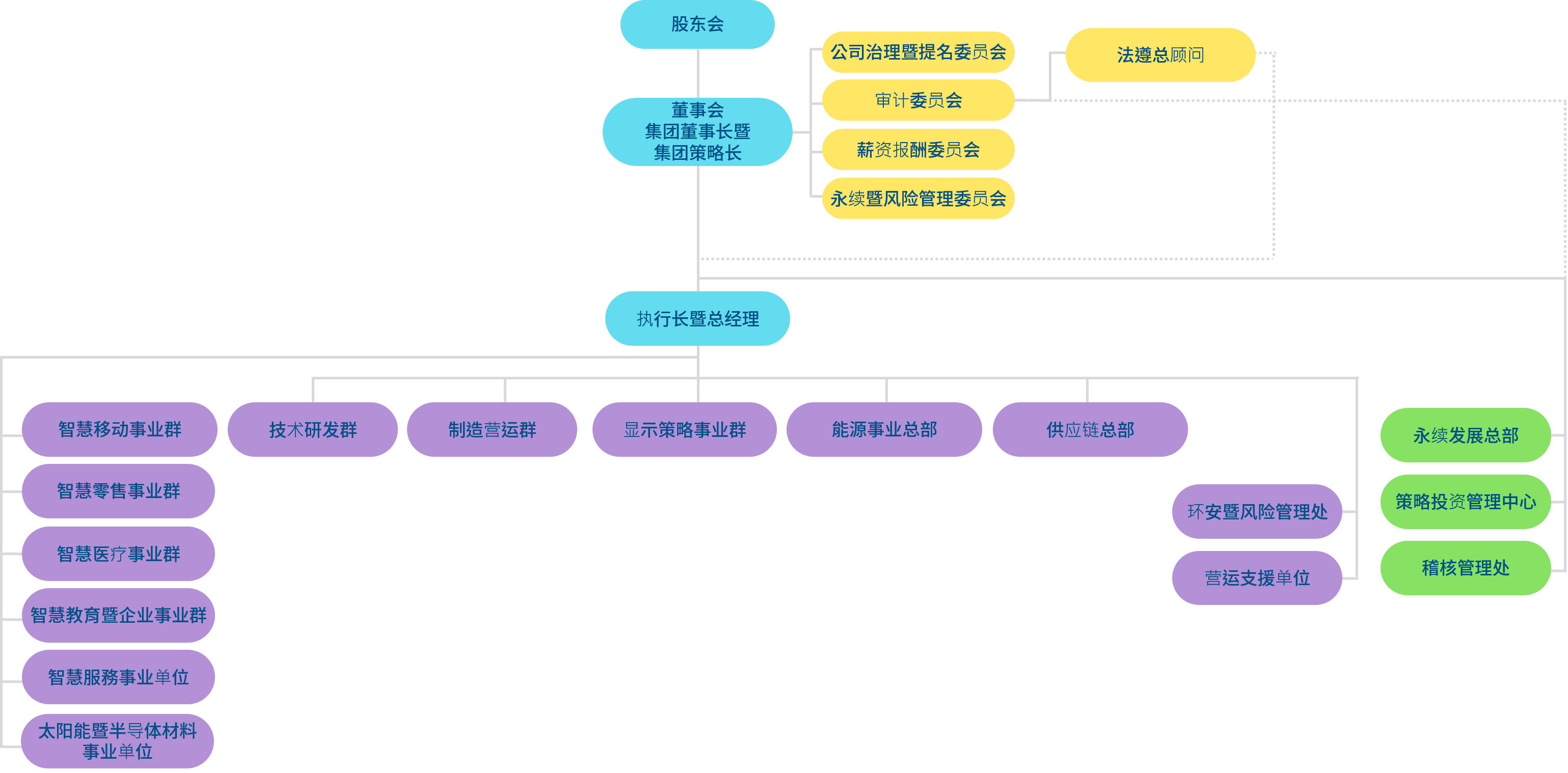3003新葡的京集团光电组织架构